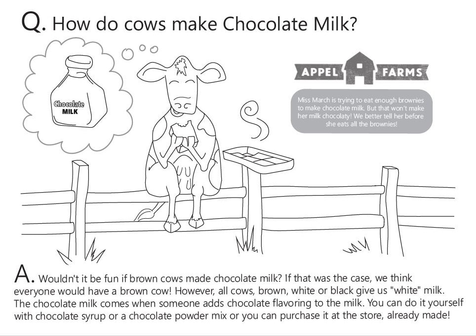 How do Cows make Chocolate Milk? Coloring page