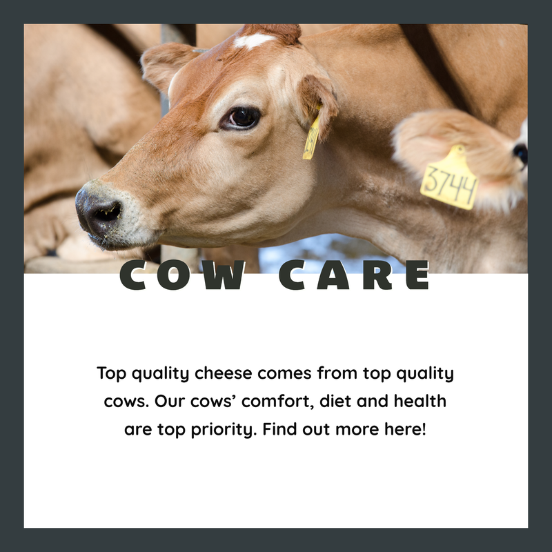 Cow Care