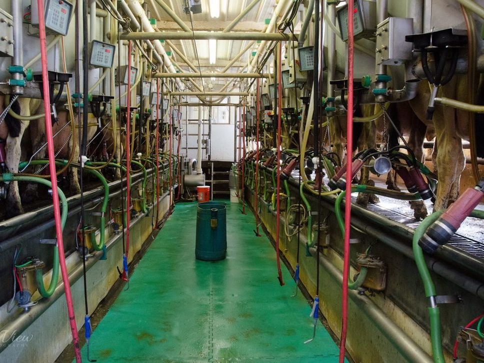 There are many different milking parlor designs being used today. The advances are great. Stanchion, herringbone, rotary, carousel and even robotic milkers.